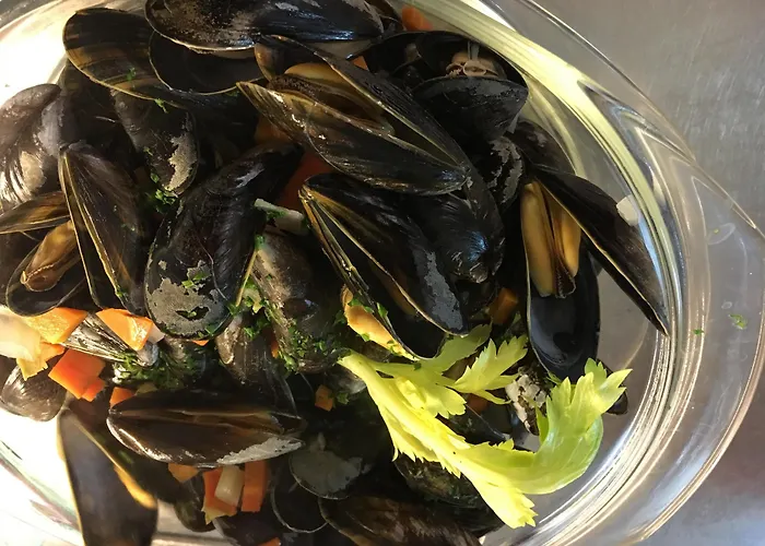 De La Place فيفي